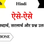 Aise Aise Class 6th Hindi Chapter 7 Question Answers