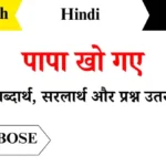 Papa-Kho-Gye-Class-7-Hindi-Chapter-4-Question-Answers