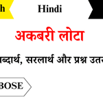Akbari-Lota-Class-8-Chapter-13-Question-Answers
