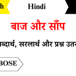 Baaj-Aur-Saanp-Class-8-Chapter-16-Question-Answers